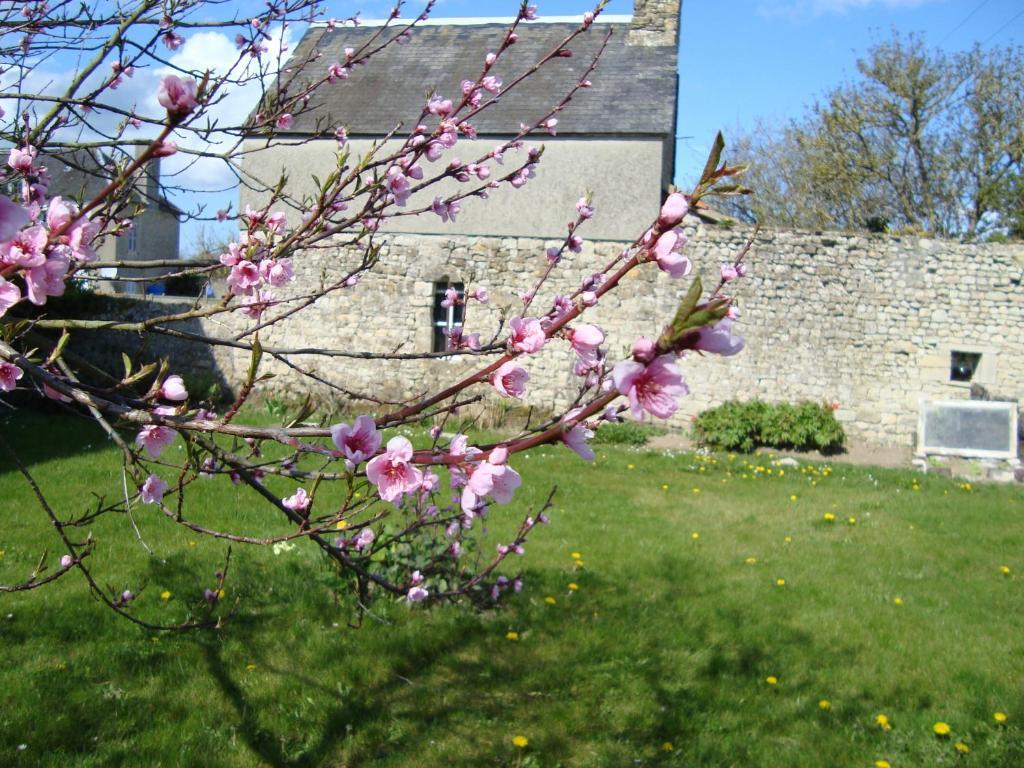 La Maison Claire Longueville Kültér fotó